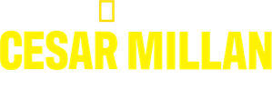 Cesar Millan: Better Human, Better Dog — Logos 4