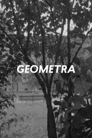 Geometra