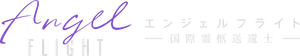 エンジェルフライト 国際霊柩送還士 — Logos 1