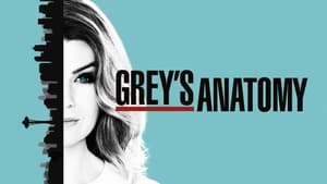 poster Grey's Anatomy - Season 7