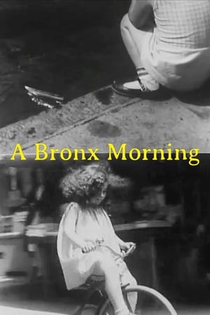 Image A Bronx Morning