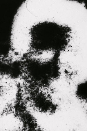 The Shifting Sands (2018)