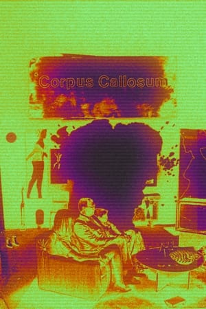 Poster *Corpus Callosum (2002)