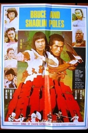 Poster Secret of the Shaolin Poles 1977