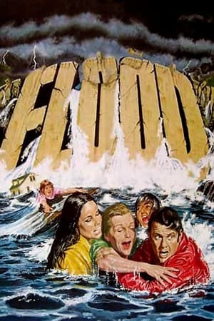 Poster Flood! 1977