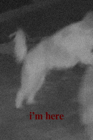 Ver i'm here online en HD