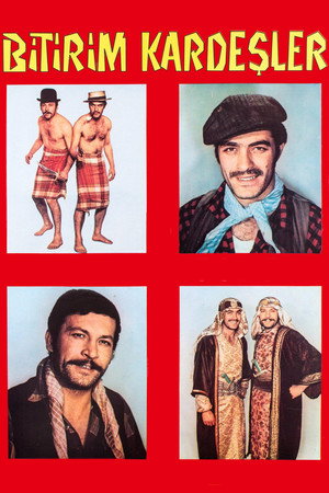The Cunning Brothers 6