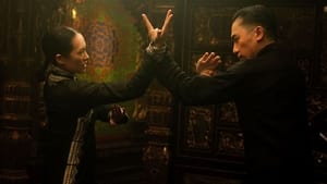 The Grandmaster (2013)