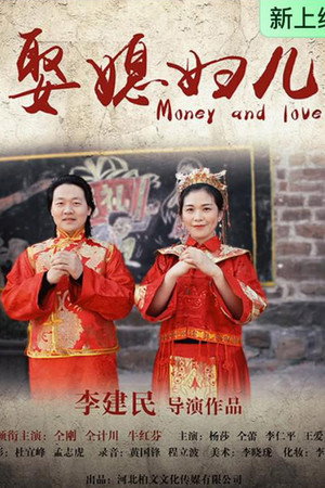 娶媳妇儿封面图