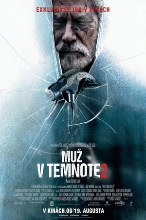 Muž v temnote 2 (2021)