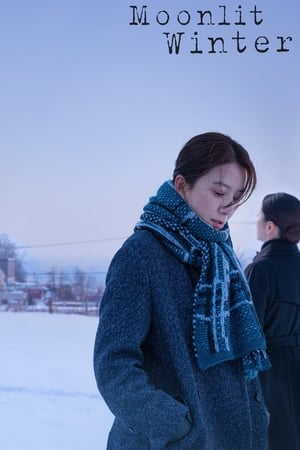 Poster Moonlit Winter (2019)