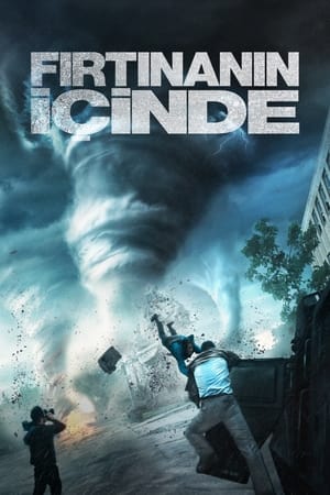 Poster Fırtınanın İçinde 2014