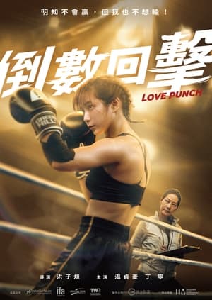 Poster Love Punch 2023