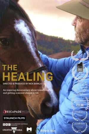 Poster di The Healing