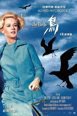 Image 群鸟