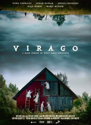 Virago 4
