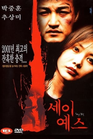 Poster Say Yes 2001