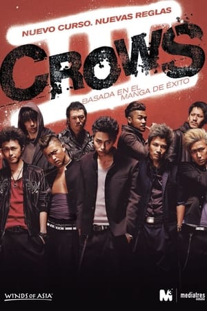 Crows Explode