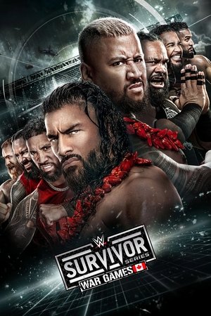 Poster WWE Survivor Series: WarGames 2024 2024