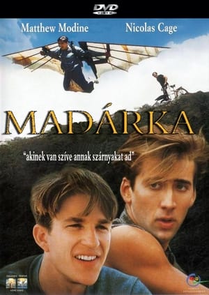 Poster Madárka 1984