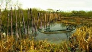 Time Team Bronze-Age Trackway - Greylake, Somerset