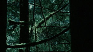 Twilight - Chapitre 1 : Fascination