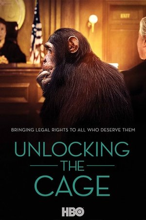 Poster L'Avocat Des Chimpanzés 2016