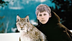 Mon ami le Lynx