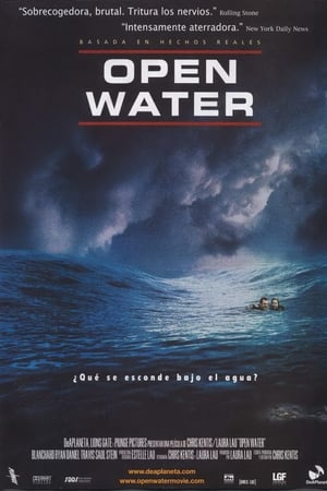 Poster Open Water 2003