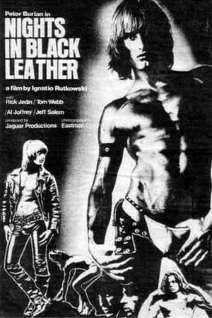 Poster Nights in Black Leather (1973)