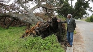 The Story of God with Morgan Freeman Apocalypse