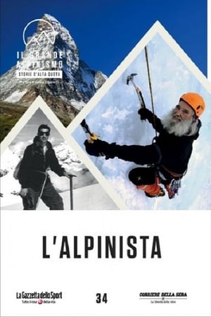 Poster L'alpinista 2014