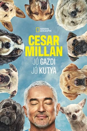 Image Cesar Millan: Jó gazdi, jó kutya