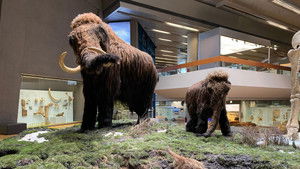 Episode 2 | StreamHub