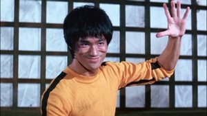 Bruce Lee: Droga wojownika