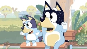 Bluey: 1×11