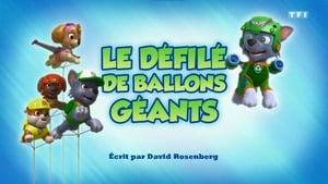 Paw Patrol Helfer auf vier Pfoten: 6×35