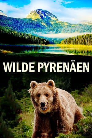 Image Wilde Pyrenäen