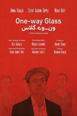 Image One-way Glass