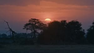 Kenya and Tanzania Part 2
