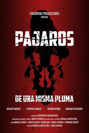 Poster Pájaros de una misma pluma 2014