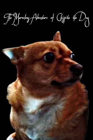 The Marvelous Adventure of Chispita the Dog (2025)