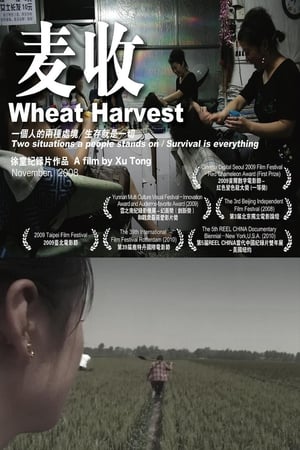 Poster Wheat Harvest (2008)