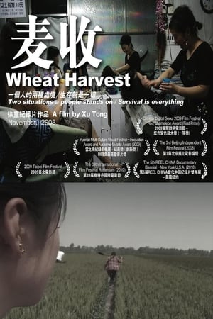 Image Wheat Harvest