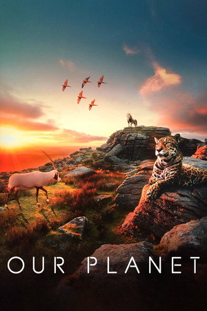 Постер сериала «Наша планета (2019 - 2023)» — (22 из 49)