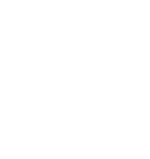 Andar na Pedra: A História do Raimundos