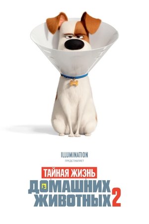 Тайная жизнь домашних животных 2 (2019)