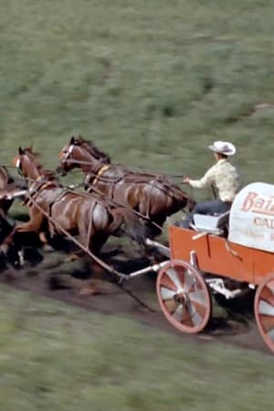 Poster Chuckwagon 1964