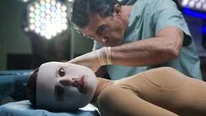 La Piel Que Habito (2011) REMUX 1080P ESPAÑOL