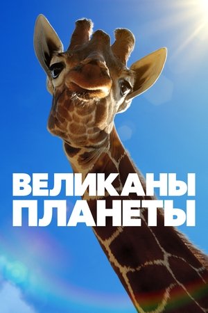 Poster Великаны планеты 2023